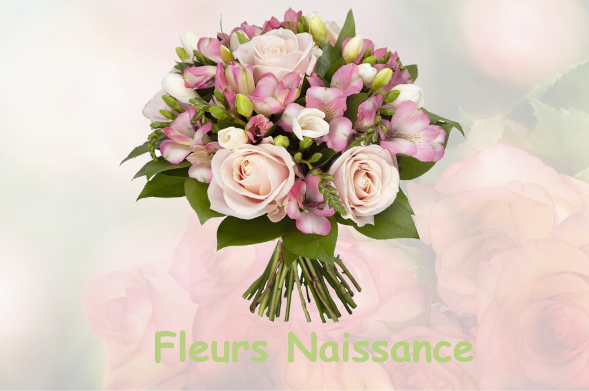 fleurs naissance PANNESSIERES