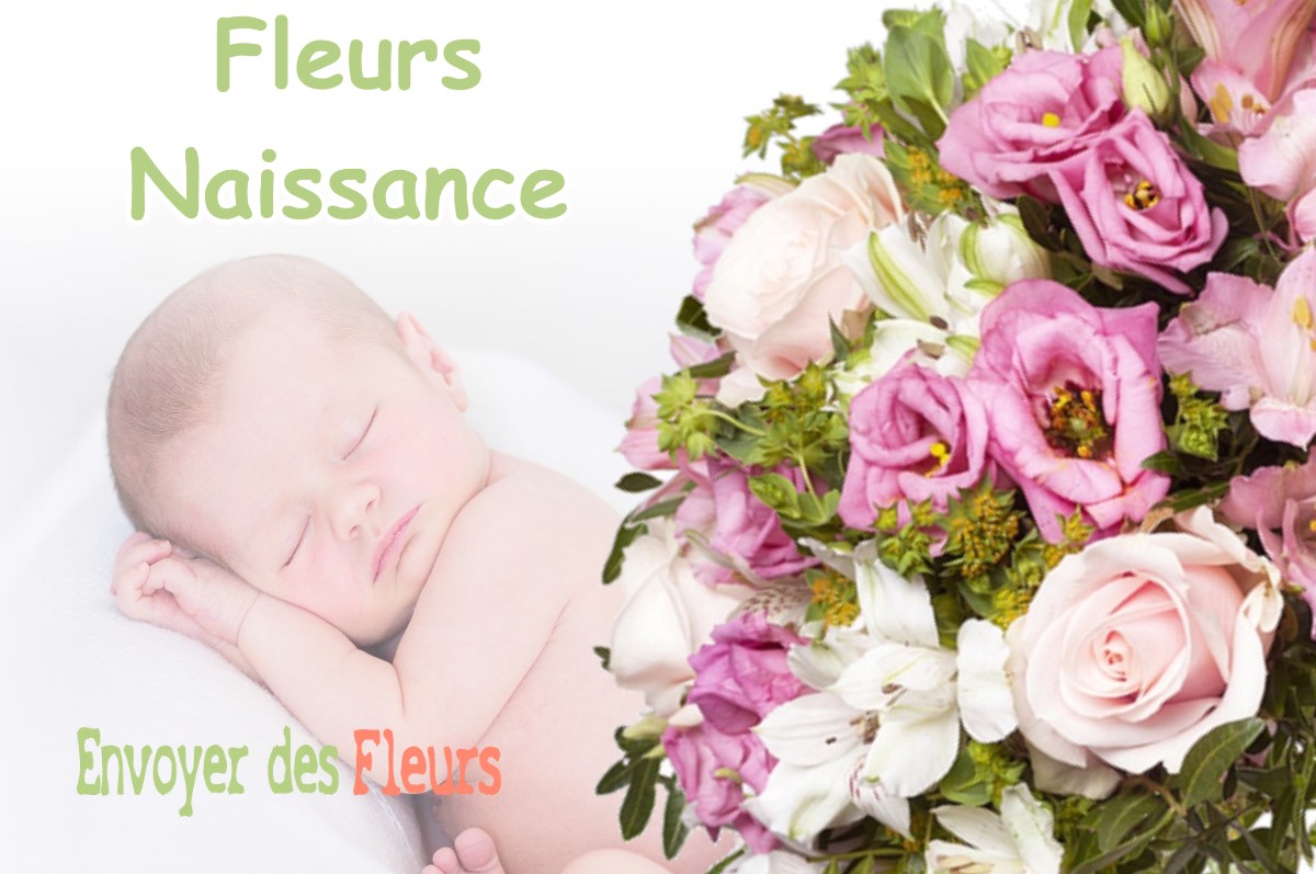 lIVRAISON FLEURS NAISSANCE à PANNESSIERES