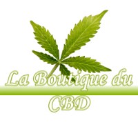 LA BOUTIQUE DU CBD PANNESSIERES 